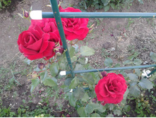 �������. ������. 2 ���. 2014