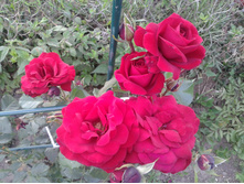 �������. ������. 2 ���. 2014