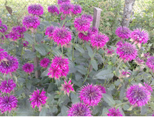 ���������� ����� ������. 07.07.2014