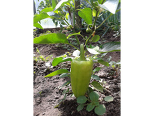 ������ 07.07.2014