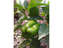 ������ 07.07.2014. ������! ���ԣ� �����!