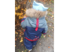 ������ �����������