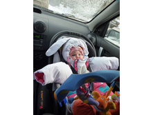 ������ ����� ���