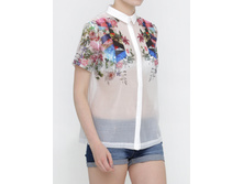 ������� 249|3228|533