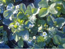 ������������ � �����