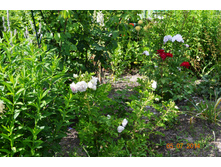 ������� �� �������� �����