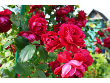 �������