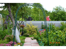 ���� ����� ������� � ����� ������.JPG