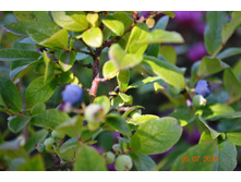 �������� ������.JPG