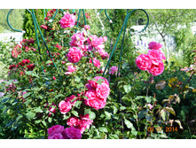 �������� �� �������.JPG