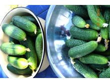 ������ ������.JPG