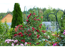 ���� �� ����.JPG