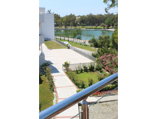 ������ ����� ����� ������