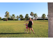 � ���������