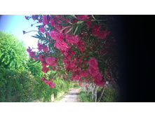 ����� � �����, ��� � � ������