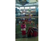 ������ ���� �������, �� ��� �������� � ������ ���