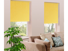 ���������_������