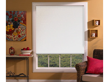 ���������_�����