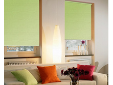 ���������_����.�������