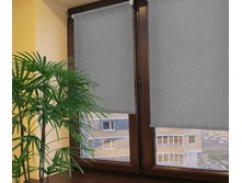 ���������_�����