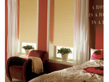 ���������_����.�������