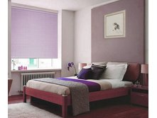 ���������_����������