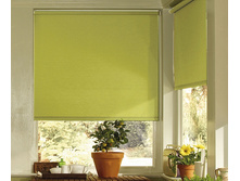 ���������_���������