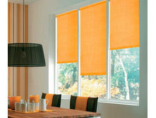 ���������_�������� �������� ��� � �������