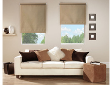 �����_���.�������