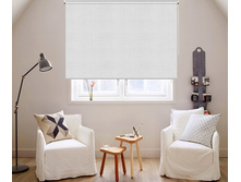 �����_�����