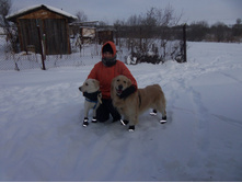 ������ ������