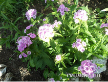 �������� �����-��� 40.JPG