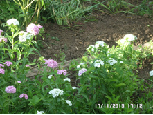 �������� 40 �..JPG