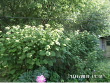 ��������� 100.JPG