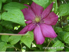 �������� 250 ���..JPG