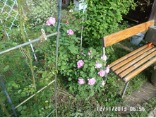 ��������� ����.JPG