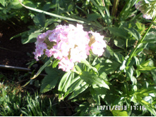 ������� �������� 40 ���..JPG