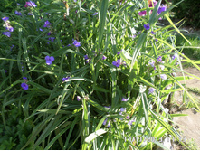 ������������ 40 ���..JPG