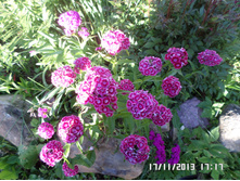 �������� �������� 40 ���..JPG