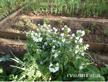 �����������.40 JPG