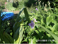 ������������ �����.JPG