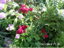 �������� ��������.JPG