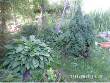 ����� ������� 50 ���..JPG