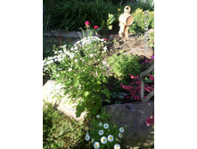 ���������� 50.JPG