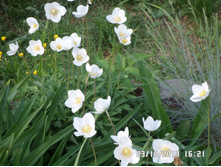 ������� 40.JPG