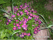 ������� 30 ���..JPG