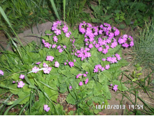 ������� 30.JPG