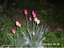 ������� 10 ���..JPG