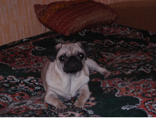 DSCN0982.JPG