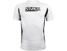 ���--���� Sto--rm. 1365 ���. ����. S. ���. storash09.png